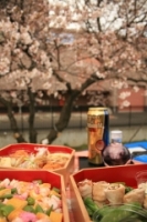 桜とお弁当。.jpg
